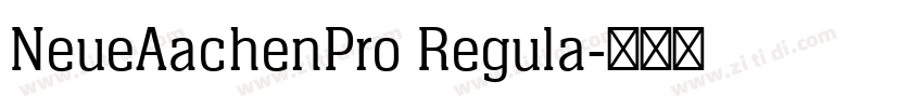 NeueAachenPro Regula字体转换